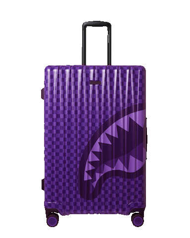 ALL SYSTEMS GO FULL-SIZE LUGGAGE